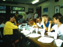 0DIA 1986 RAVA C1